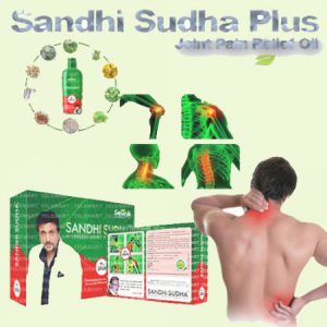 original-Sandhi-Sudha-Plus