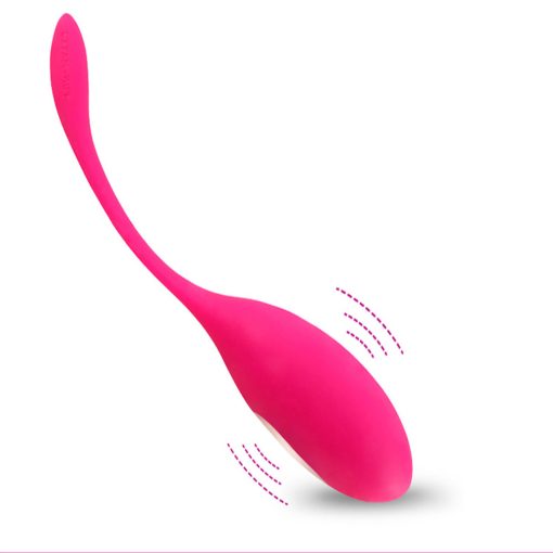 Vibrating Egg Remote Control Vibrator Sex Toys for Women - Image 2