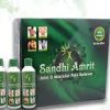 sandhiamrit.com Sandhi Amrit