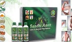 sandhiamrit.com Sandhi Amrit