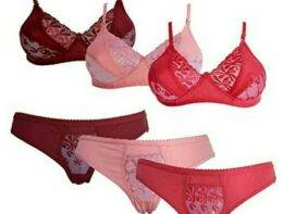 Ladies Undergarments