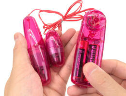 best-twin-egg-vibrators-pricr