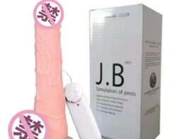 Dildo-Penis-sex-toy-bd