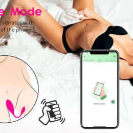 Rechargeable-APP-Remote-Control-Vibrating-Egg (2)